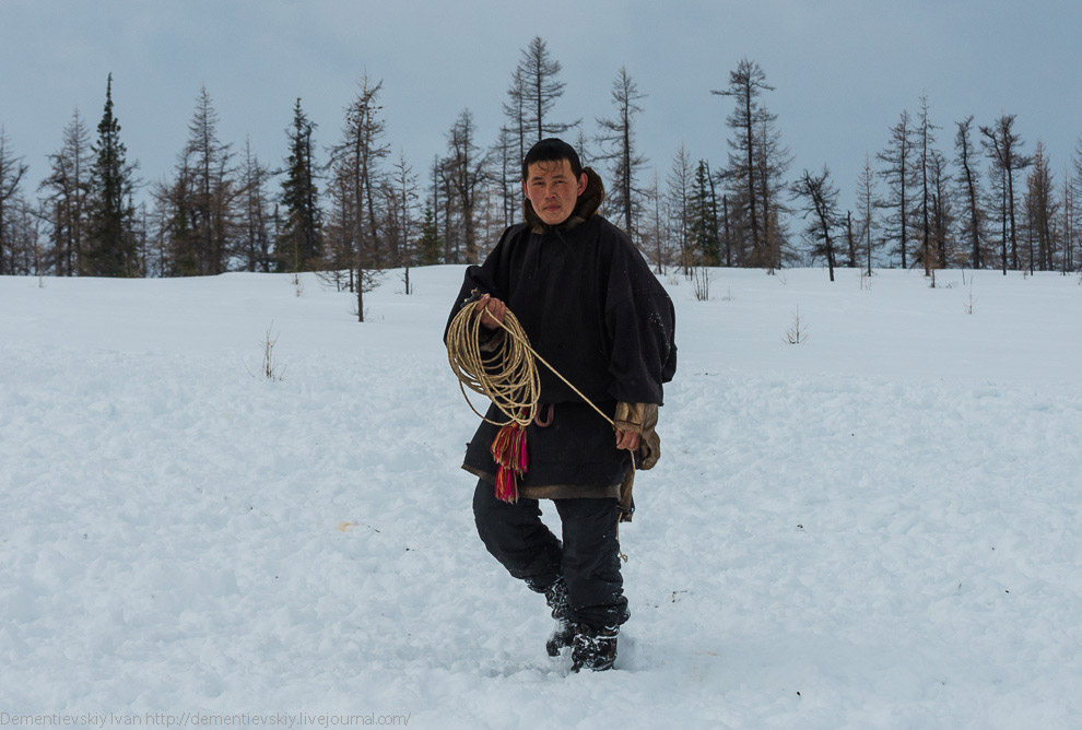Путешествие по тундре и День оленевода Путешествие по тундре и День оленевода