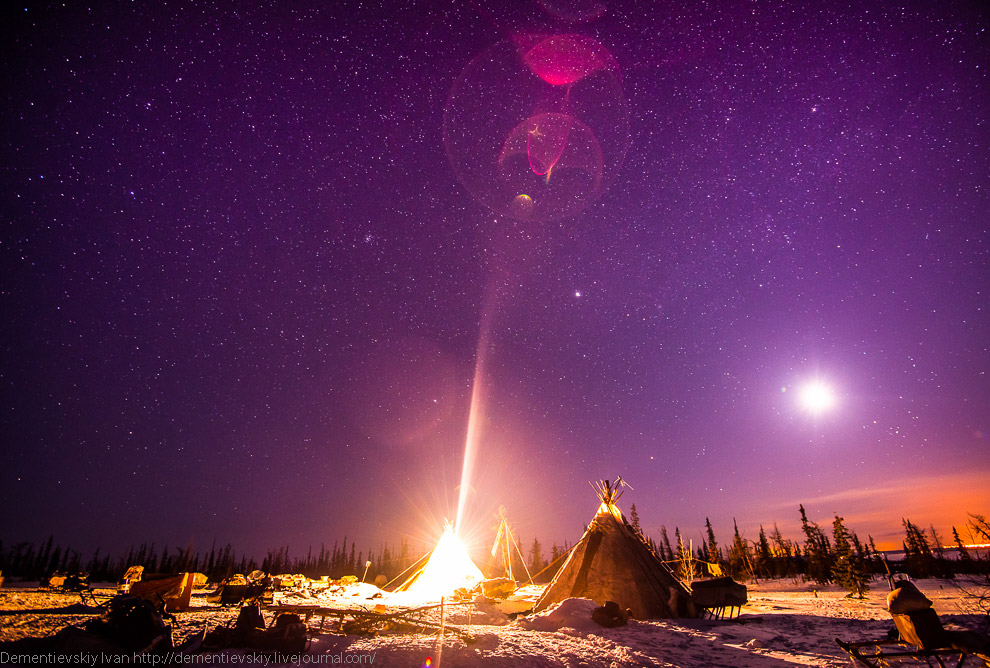 Путешествие по тундре и День оленевода Путешествие по тундре и День оленевода