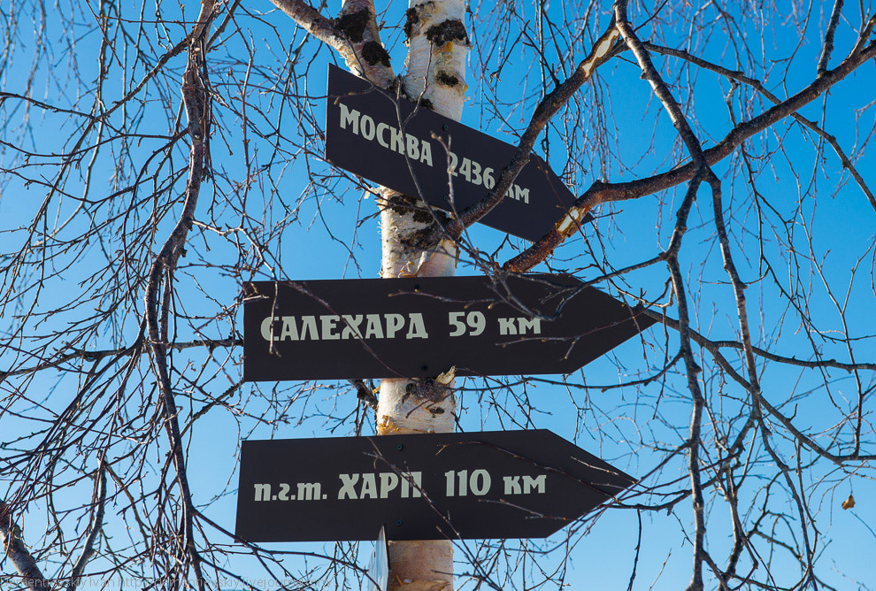 Путешествие по тундре и День оленевода Путешествие по тундре и День оленевода