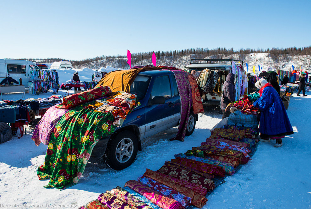 Путешествие по тундре и День оленевода Путешествие по тундре и День оленевода