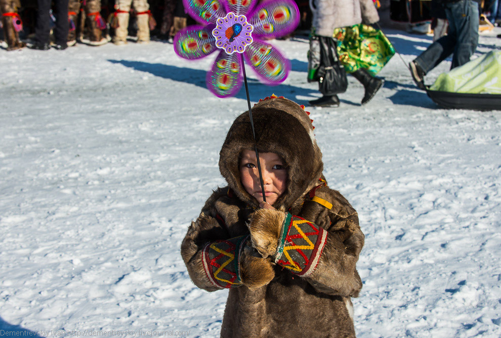 Путешествие по тундре и День оленевода Путешествие по тундре и День оленевода