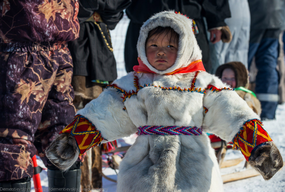 Путешествие по тундре и День оленевода Путешествие по тундре и День оленевода