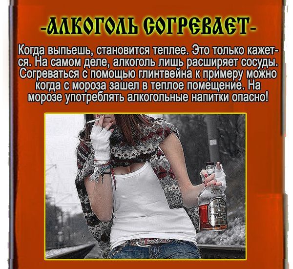 Развенчиваем мифы об алкоголе (11 фото)