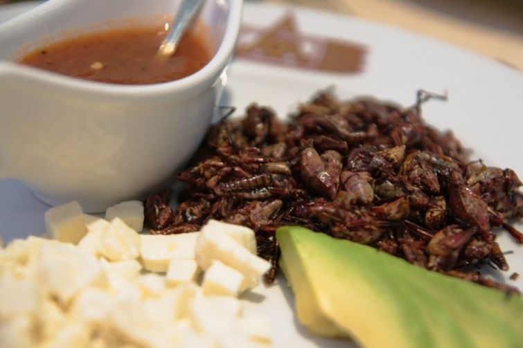 Традиционные блюда разных кухонь мира (23 фото)