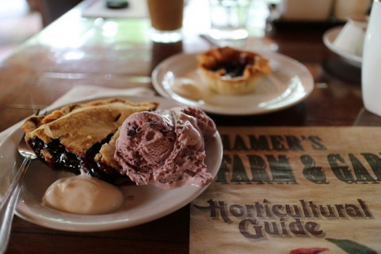 Традиционные блюда разных кухонь мира (23 фото)