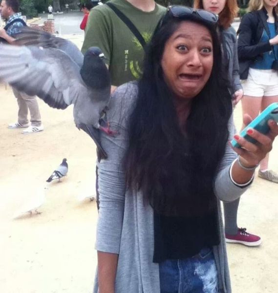 Прикольные картинки (83 фото)