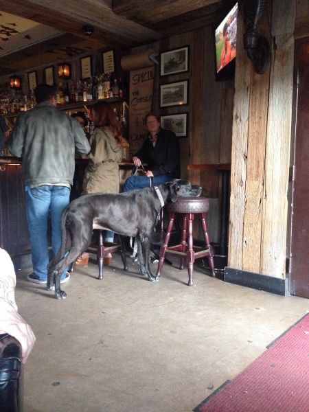 Прикольные картинки (83 фото)