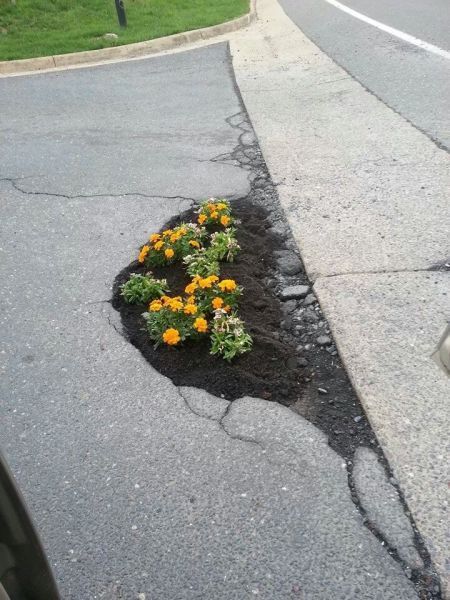 Прикольные картинки (83 фото)