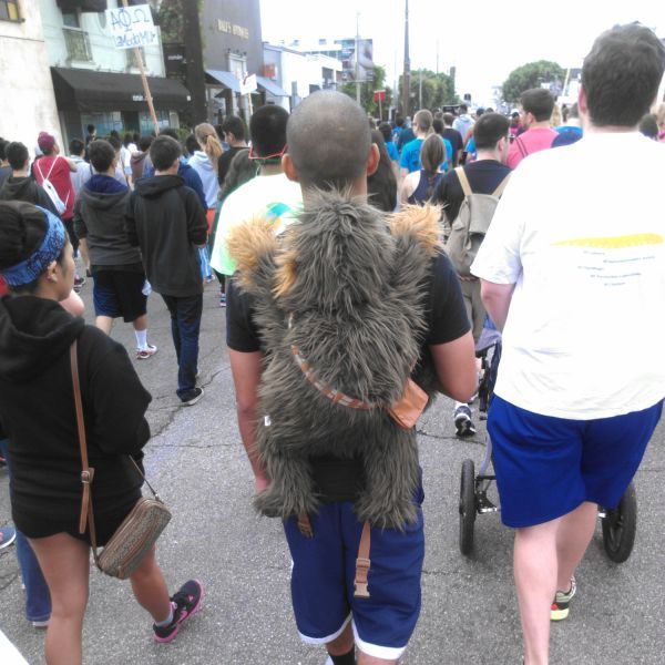 Прикольные картинки (83 фото)