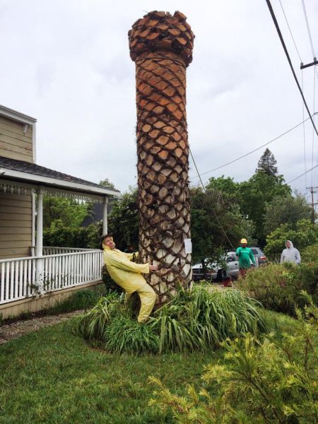 Прикольные картинки (83 фото)