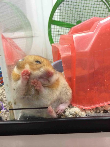 Прикольные картинки (83 фото)