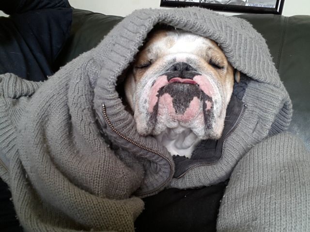 Прикольные картинки (83 фото)