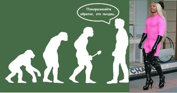 Прикольные картинки (83 фото)