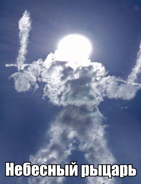 Прикольные картинки (83 фото)