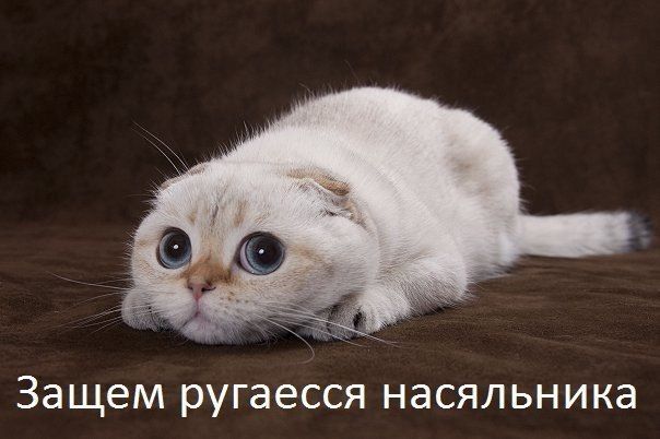 Прикольные картинки (83 фото)