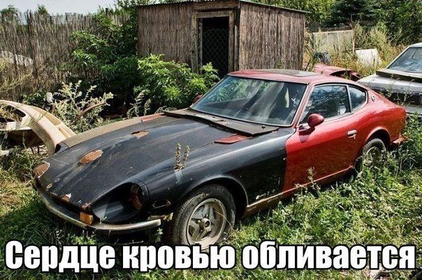 Прикольные картинки (83 фото)