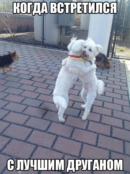 Прикольные картинки (83 фото)