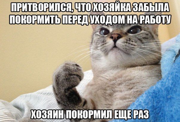 Прикольные картинки (83 фото)