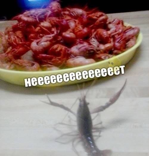 Прикольные картинки (83 фото)