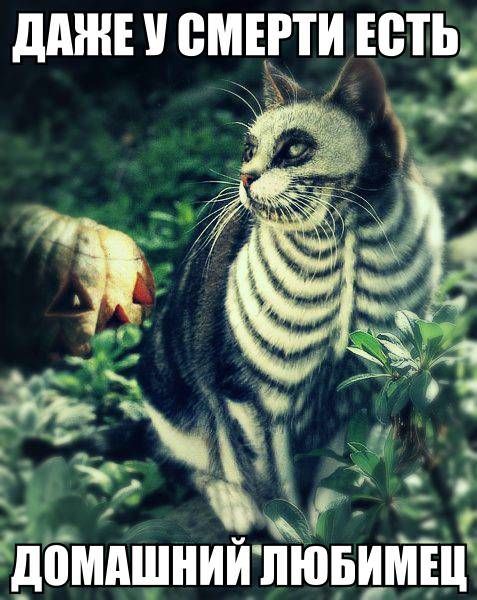 Прикольные картинки (83 фото)