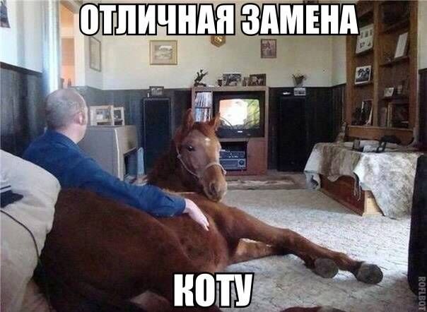 Прикольные картинки (83 фото)