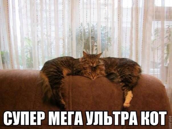 Прикольные картинки (83 фото)