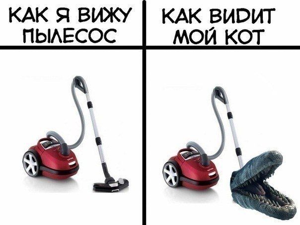 Прикольные картинки (83 фото)