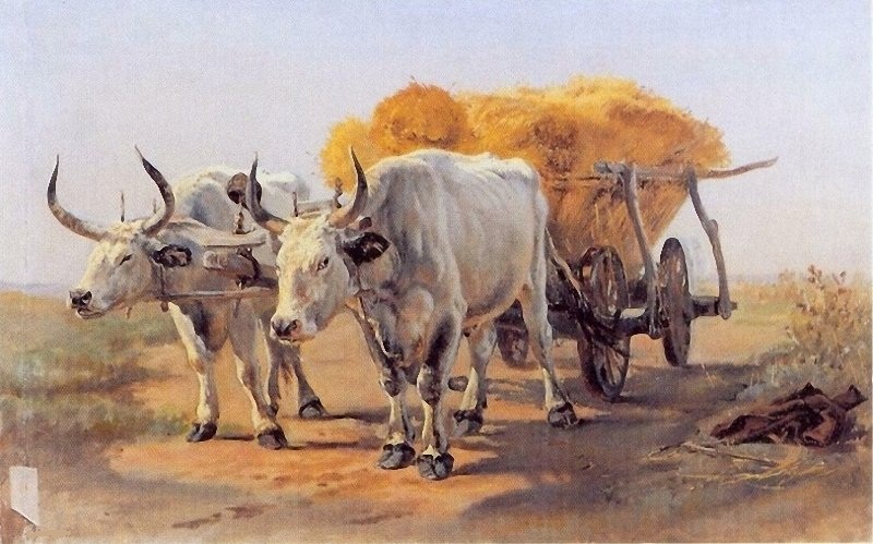 Десять сильнейших существ на нашей планете Десять сильнейших существ на нашей планете