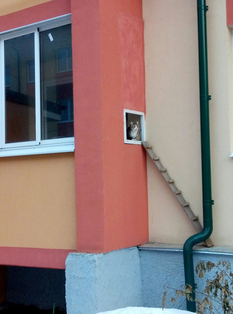 Удивительные снимки с российских просторов