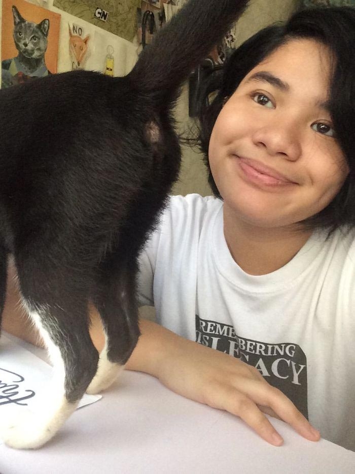 25 смешных фотографий доказывающих, что кошки самые большие задницы