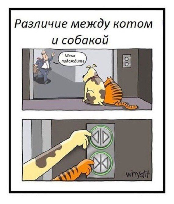 Смешные комиксы