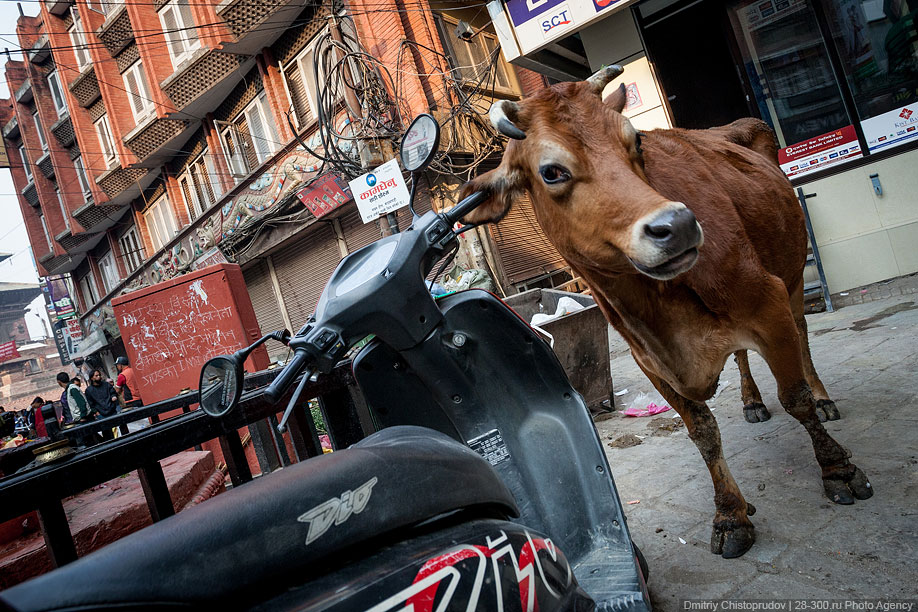Катманду — столица и крупнейший город Непала