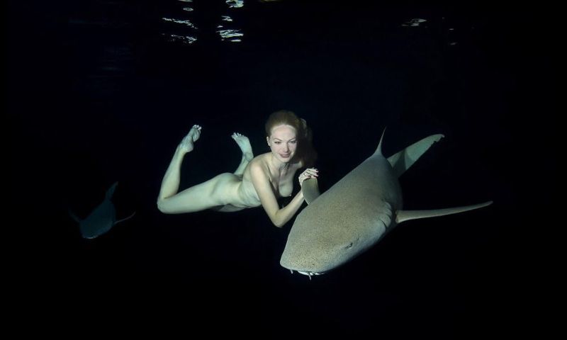 Модель устроила голый заплыв с акулами, чтобы показать, что их не стоит бояться