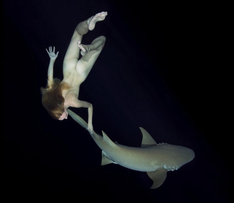 Модель устроила голый заплыв с акулами, чтобы показать, что их не стоит бояться