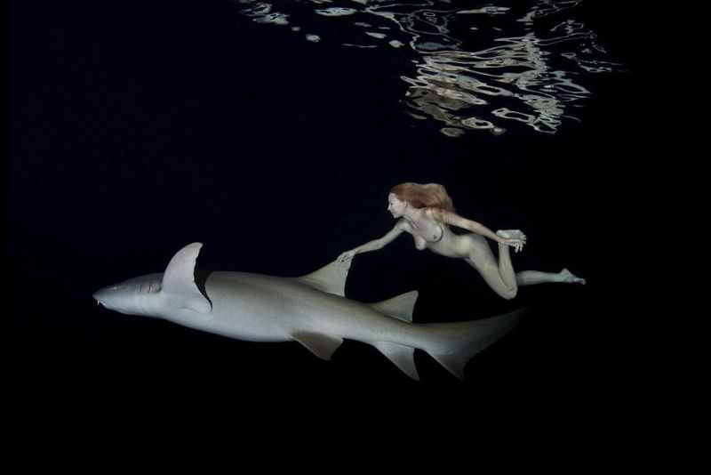 Модель устроила голый заплыв с акулами, чтобы показать, что их не стоит бояться