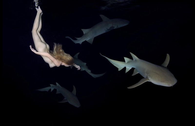 Модель устроила голый заплыв с акулами, чтобы показать, что их не стоит бояться