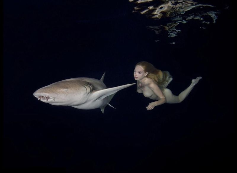 Модель устроила голый заплыв с акулами, чтобы показать, что их не стоит бояться