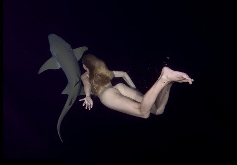 Модель устроила голый заплыв с акулами, чтобы показать, что их не стоит бояться