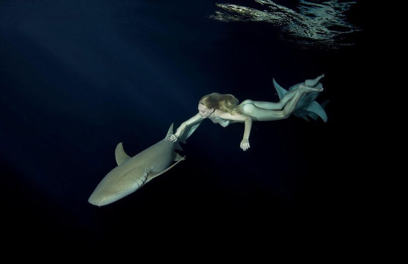 Модель устроила голый заплыв с акулами, чтобы показать, что их не стоит бояться