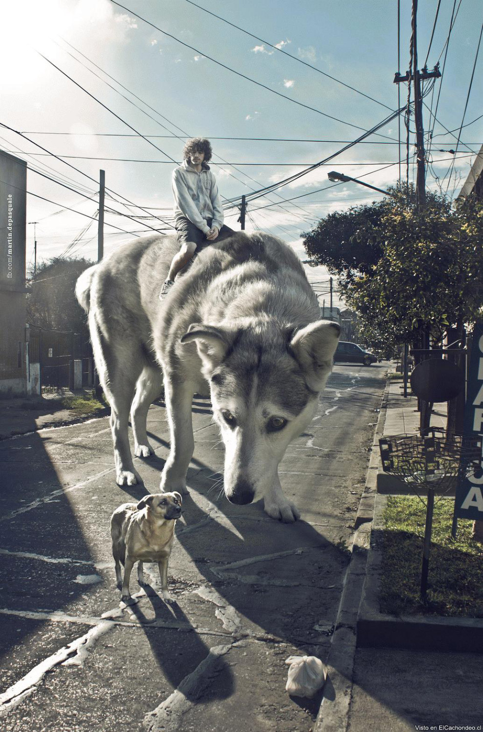 Мастера фотошопа: сюрреалистичные фотографии