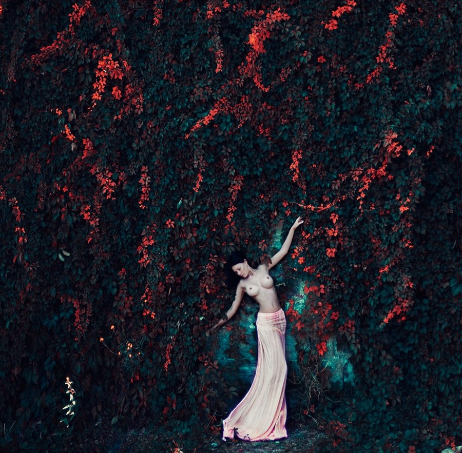 Великолепие женского тела на фотографиях Михаила Судакова