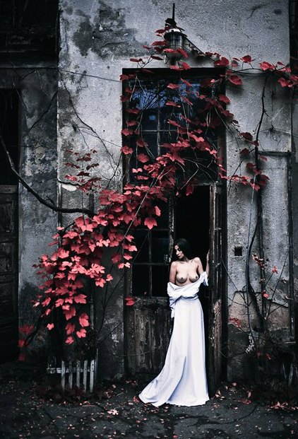 Великолепие женского тела на фотографиях Михаила Судакова