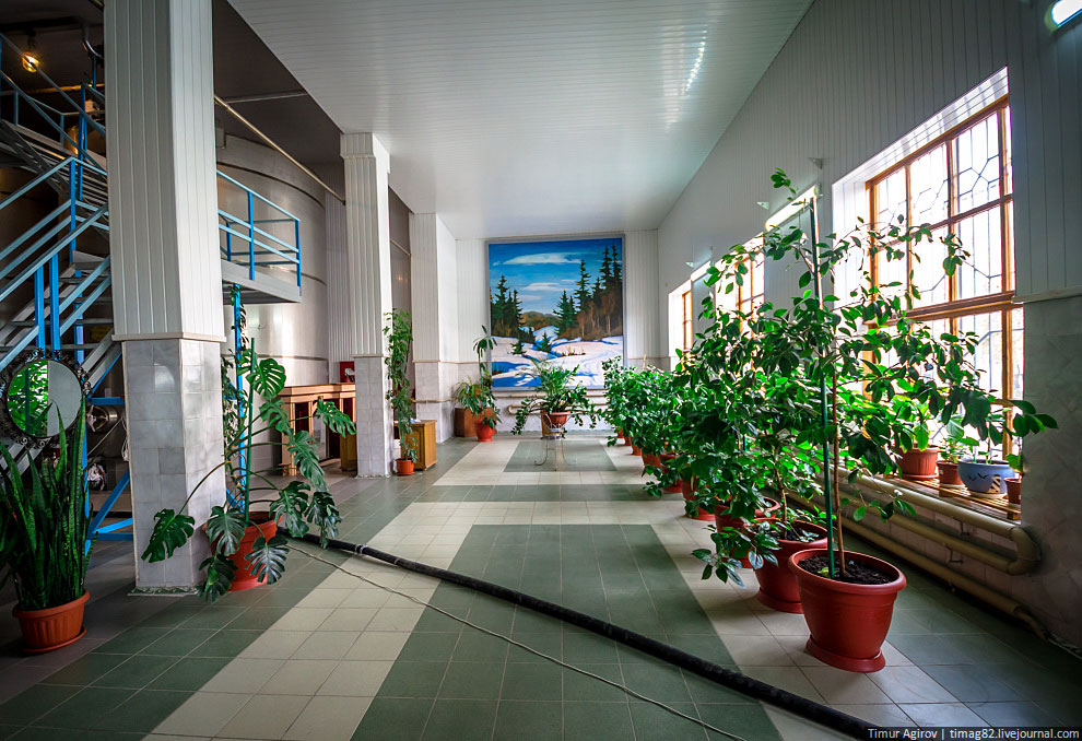Экскурсия на Кизлярский коньячный завод