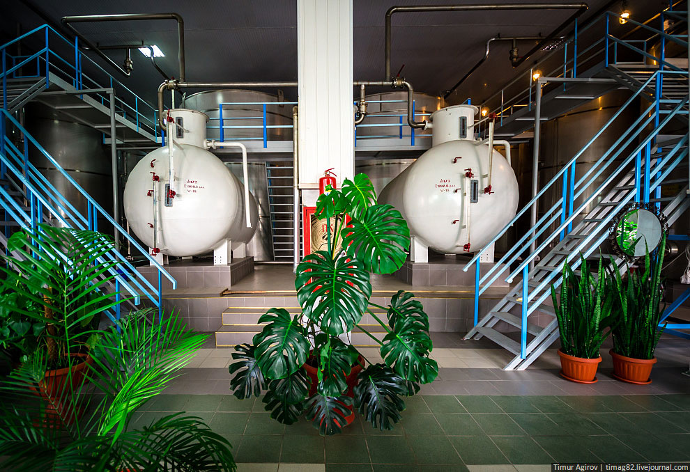 Экскурсия на Кизлярский коньячный завод