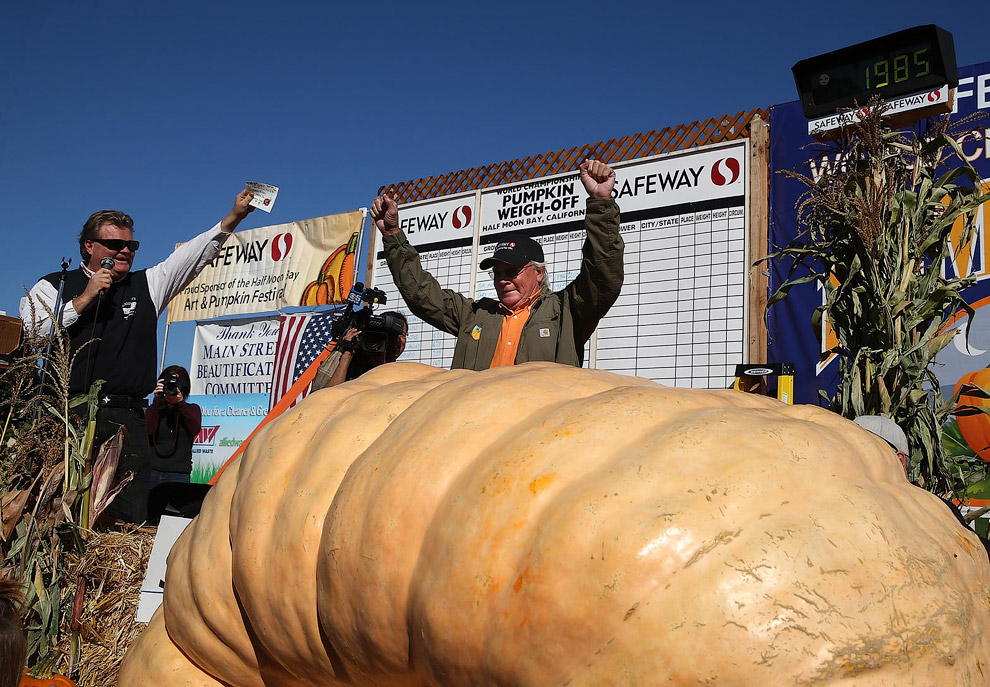 40-й чемпионат по взвешиванию тыквы
