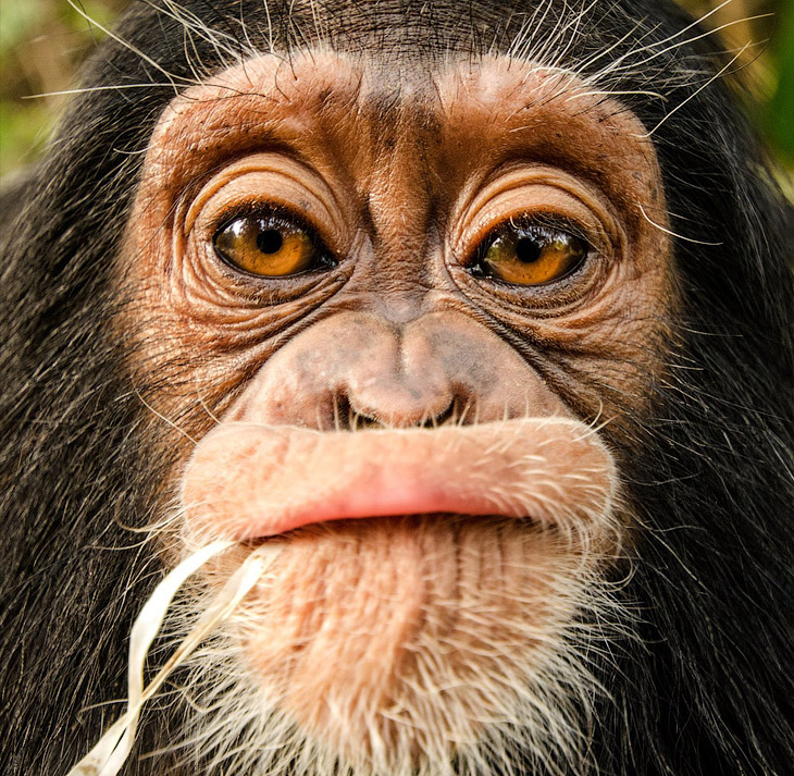 Лучшее с конкурса фотографии National Geographic 2013