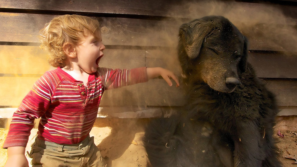 Лучшее с конкурса фотографии National Geographic 2013