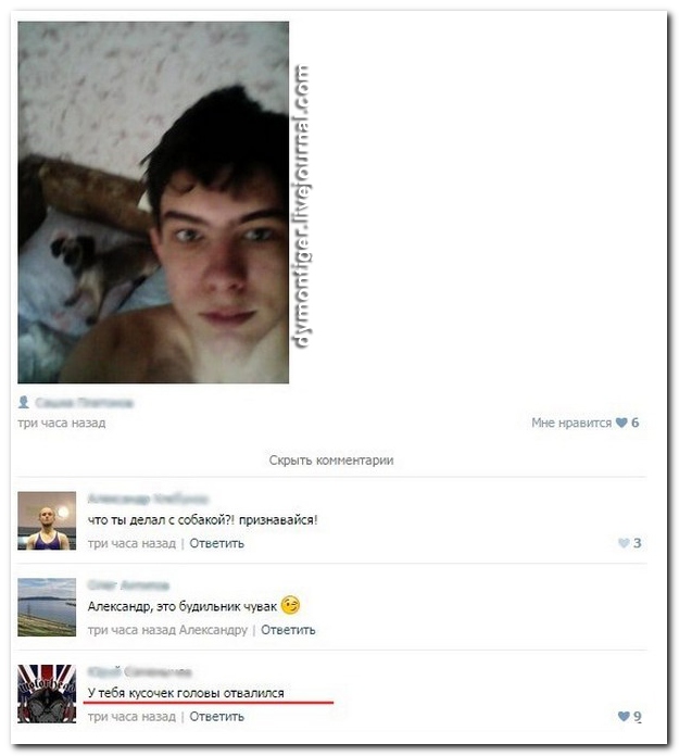 Смешные комментарии из социальных сетей