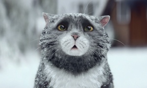 Очаровательная рождественская реклама