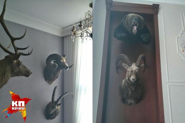 Богатства, найденные у известных коррупционеров